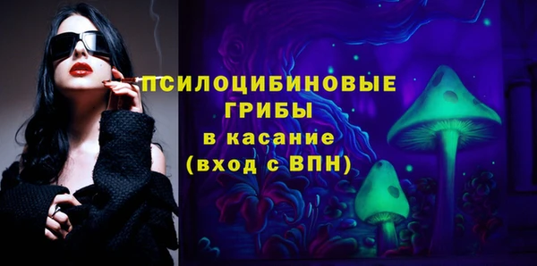 герыч Алексин